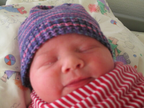 Foto von Hermine Sophia 
