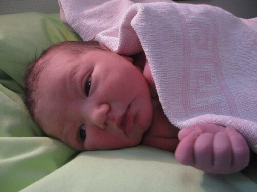 Foto von Lilli Gippert