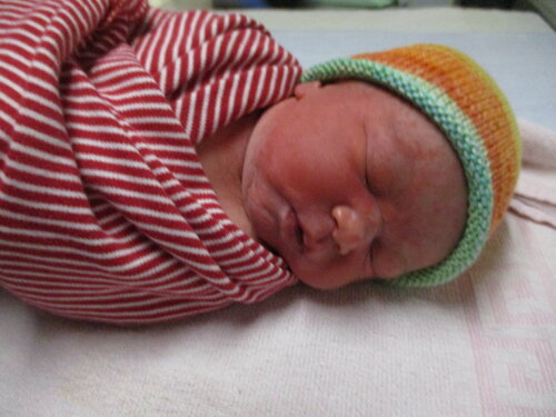 Foto von Nele Sophie 