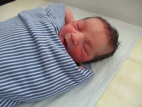 Foto von Sina Karimi