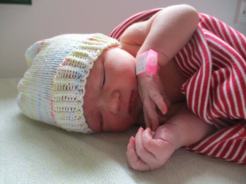 Foto von Amalia Knorr