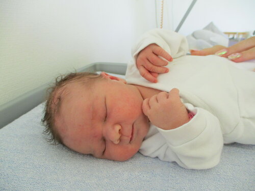 Foto von Aurora Covalcivc