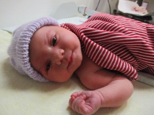 Foto von Chiara Gentile