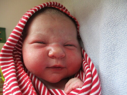 Foto von Viktoria Resetov