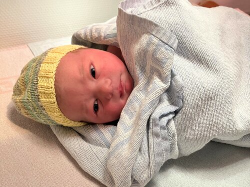 Foto von de Rossi Carlo