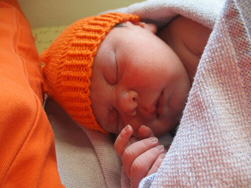 Foto von Sarah Blazevic