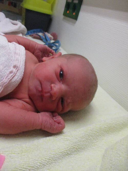 Foto von Aura-Maria Daikeler