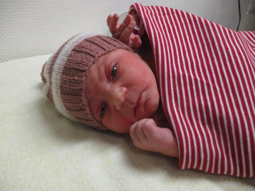 Foto von Marie Groeger