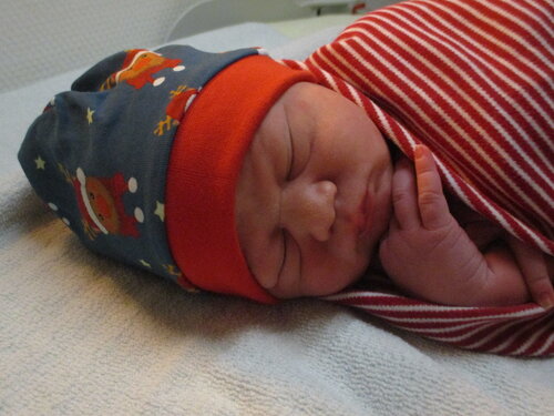 Foto von Niklas Binder