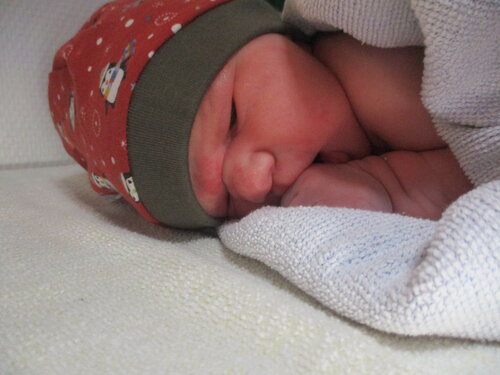 Foto von Sophie Schwimmer