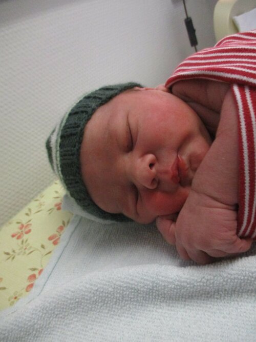 Foto von Moritz Griebel