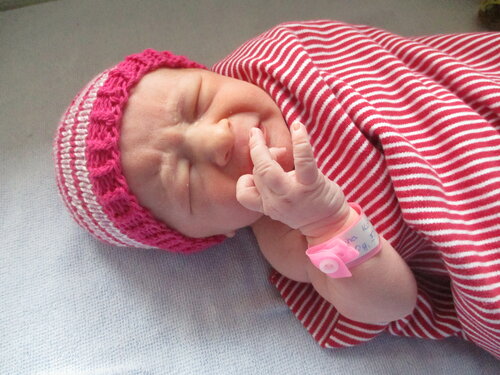 Foto von Mina Köstel