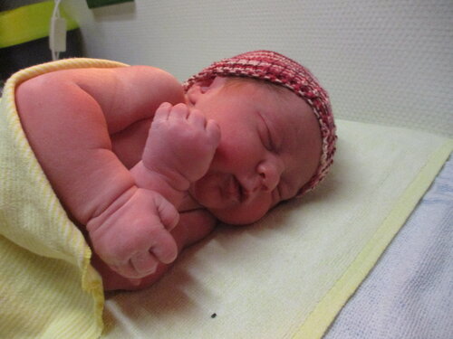 Foto von Liara Frieda 