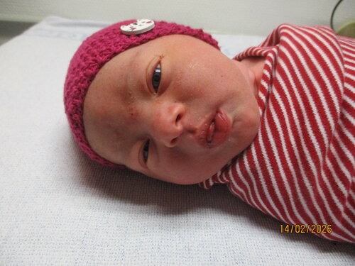 Foto von Liara Maylin 