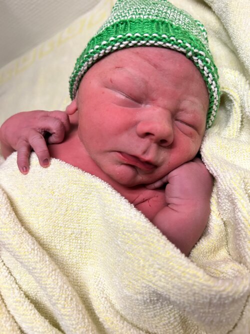 Foto von Noah Mattheo Zimmermann