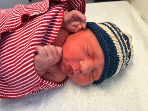 Foto von Mattheo Koenig