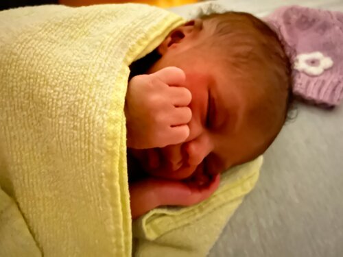 Foto von Frieda Mawugnon 