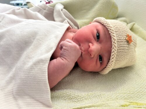 Foto von Fynn  Rehm